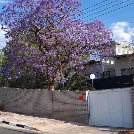 Suiderhof Self-Catering Hotel Windhoek Bagian luar foto