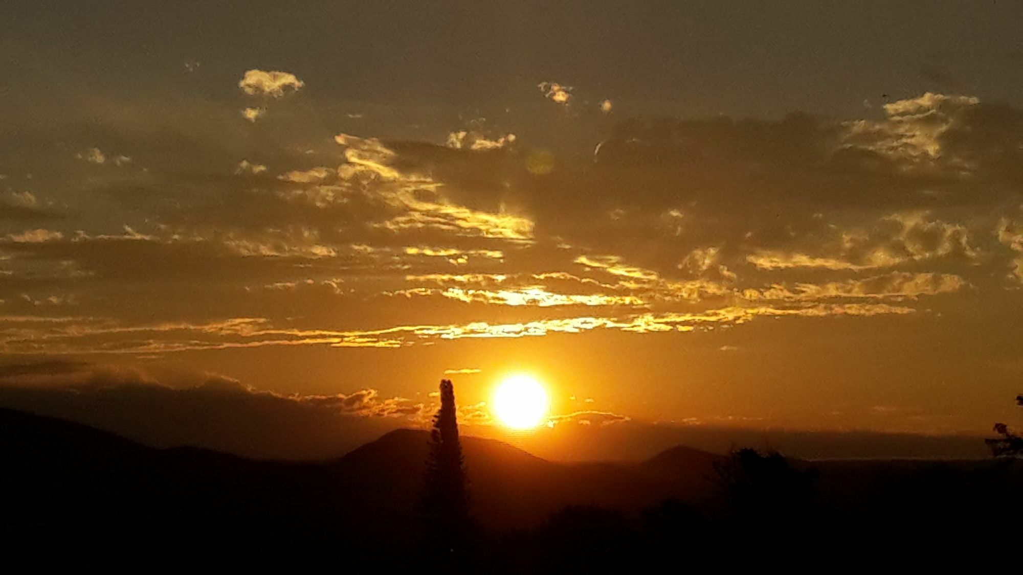 Suiderhof Self-Catering Hotel Windhoek Bagian luar foto