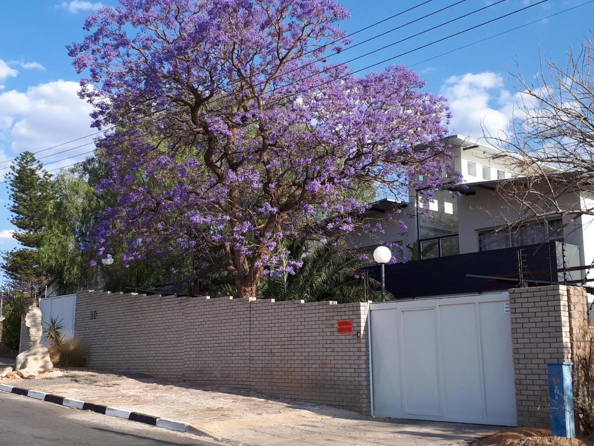 Suiderhof Self-Catering Hotel Windhoek Bagian luar foto